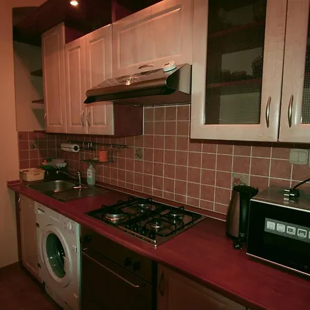 King Otakar Apartman * 카를로비바리