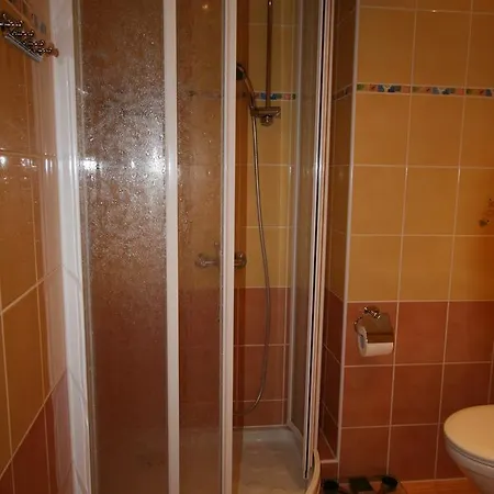 아파트 King Otakar Apartman 카를로비바리